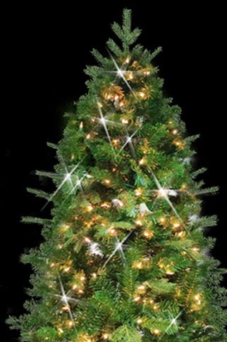 christmas trees